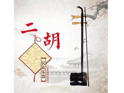 招聘铜陵二胡家教老师